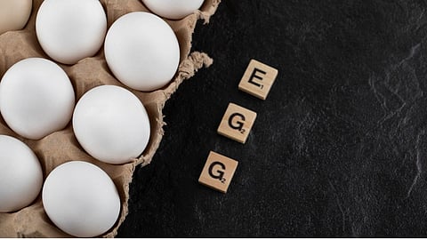Egg Benefits, विश्व अंडा दिवस