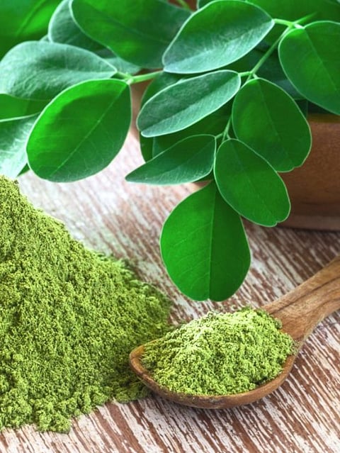Moringa (5)