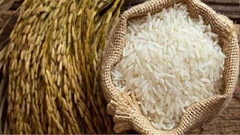 South Africa welcomes relaxation in Indian rice exports