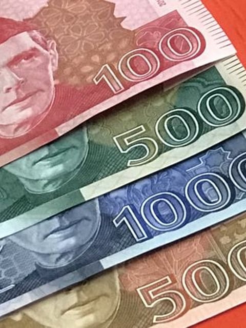 Pakistan Currency (4)