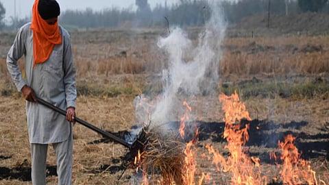 सरकार का बड़ा दावा, हरियाणा में पराली जलाने की घटनाओं में 29% की आई कमी