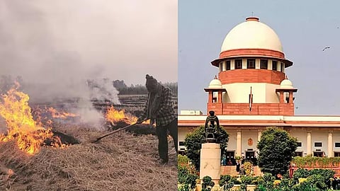 पराली मामले में सुप्रीम कोर्ट ने पंजाब, हरियाणा सरकारों को फटकार लगाई, मुख्य सचिवों को तलब किया