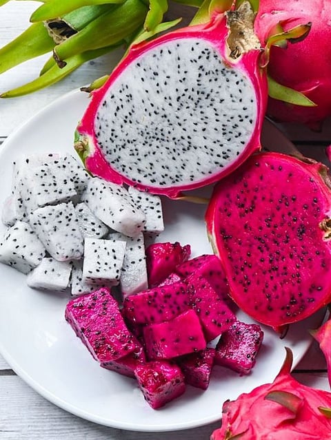 dragon fruit