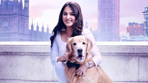 अनुष्का शेट्टी को इस तरह मिली थीं डेब्यू फिल्म 'सुपर', बाहुबली 2 की देवसेना से मिला पहचान