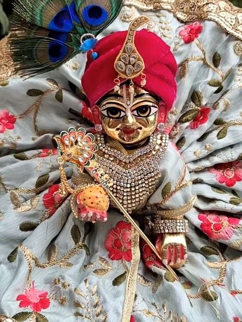 Laddu Gopal (6)