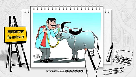 लड्डू यादव को अपने पालतू मवेशी से इतना प्यार है कि उन्होंने भैंसे को सोने की चेन पहना दी