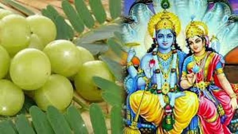 अक्षय नवमी की सही तिथि और पूजा का शुभ मुहूर्त,