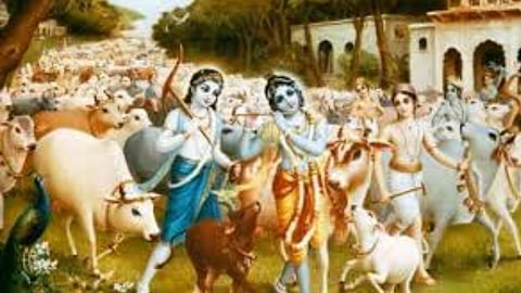 गोपाष्टमी के दिन किए गए ये उपाय