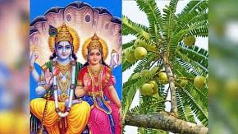 अक्षय नवमी के दिन करें इन चीजों का दान
