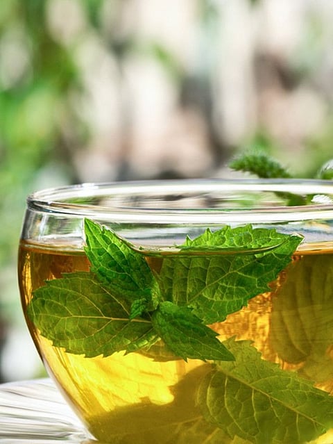 Peppermint tea (6)