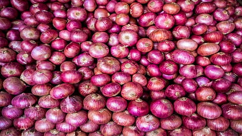 बिना एक्सपोर्ट ड्यूटी के विदेशों में प्याज भेज सकेंगे किसान