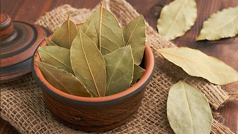 किसी दवा से कम नहीं हैं भारतीय रसोई का ये मसाला, फायदे जानकर रह जाएंगे हैरान