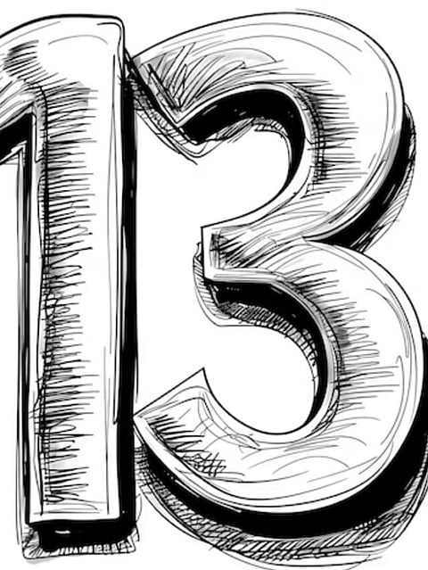 13 (3)
