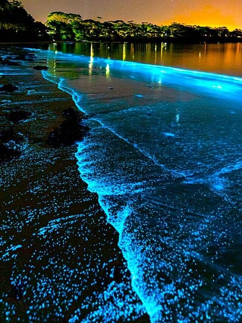 Mauritius