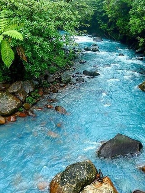 River (7)