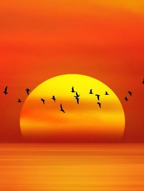 SunSet (4)