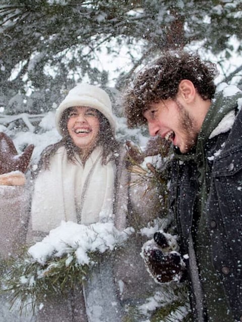 snowfall (7)
