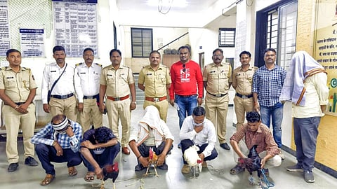 चंद्रपुर में चल था मुर्गा लड़ाई का खेल, पुलिस ने मारा छापा, 12 लोग गिरफ्तार