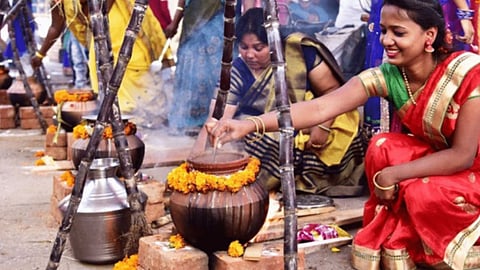 पोंगल त्योहार 2025, तमिलनाडु का खास त्योहार