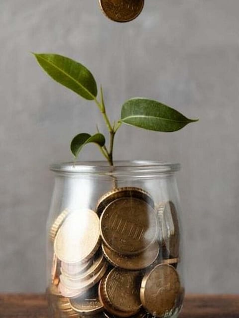 dream budget (3)