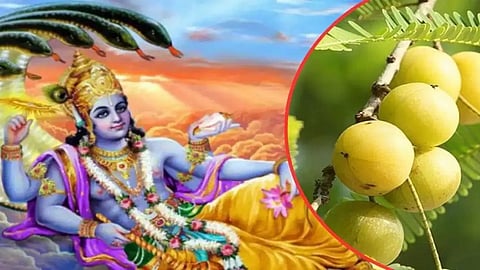 आमलकी एकादशी की तिथि को लेकर कन्फ्यूजन खत्म, मार्च में इस दिन पड़ रही है यह विशेष एकादशी, जानिए पूजा का शुभ मुहूर्त और पूजा विधि