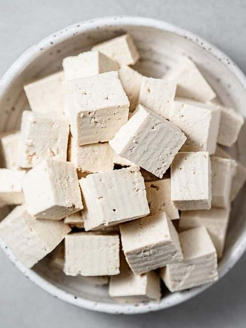 Paneer (7)