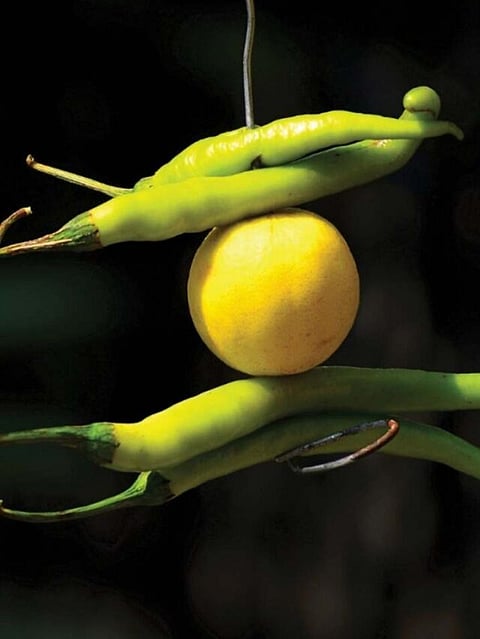 lemon and chilli (3)