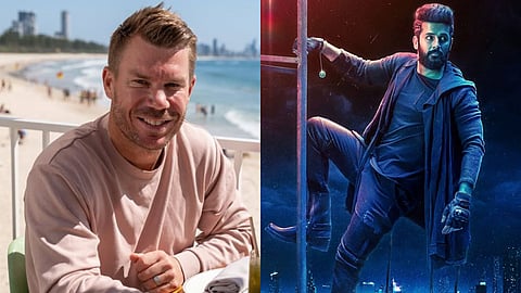 David Warner To Make Debut In South Movie Robinhood With Nithiin