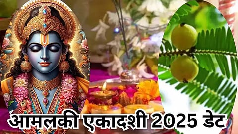 आमलकी एकादशी है विशेष एकादशी, इस दिन इन 3 वस्तुओं के दान-धर्म से बनेंगे भाग्योदय के योग, मिलेगी सुख-समृद्धि