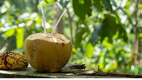 Coconut Water है या Divine Water, कई रोगों को रखता है दूर, तो कई मामलों में करता है कारगर औषधि का काम