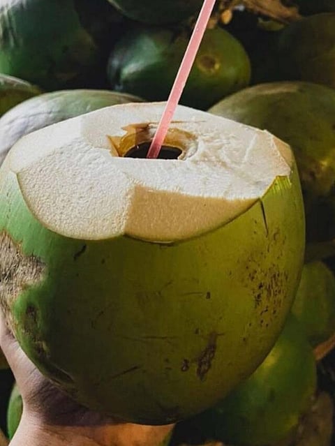 Coconut (4)