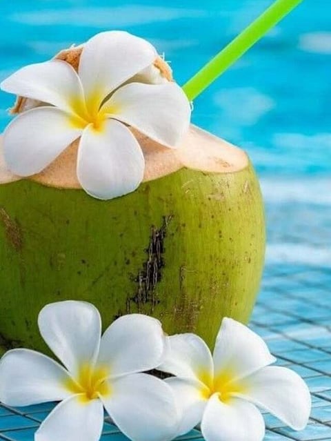 Coconut Water (3)