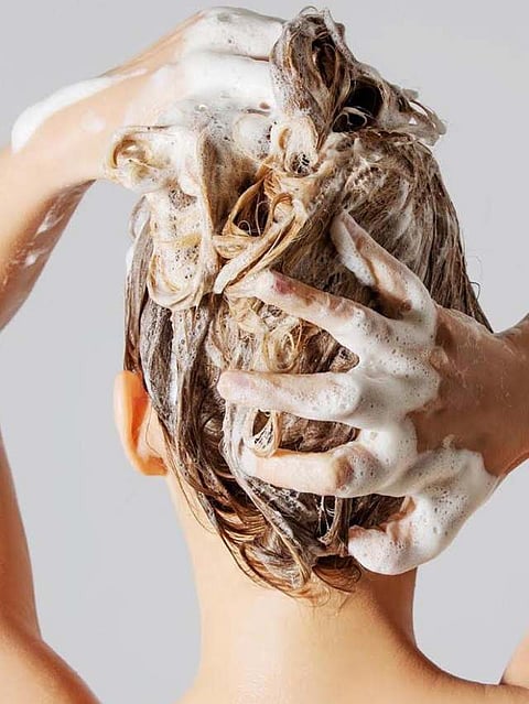 Homemade shampoo
