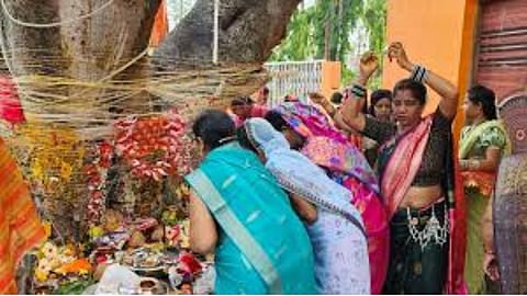 वट सावित्री पूजा में बरगद पर सात बार ही क्यों लपेटा जाता है कच्चा धागा, अब आया असली वजह, जानिए सनातन धर्म में क्या है इसका महत्व