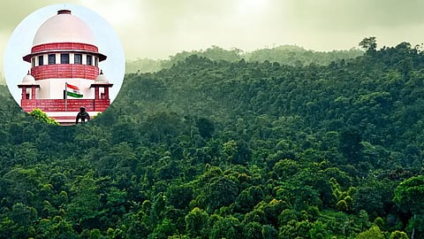विदर्भ के 'झाड़ीदार' जंगल वन भूमि घोषित।