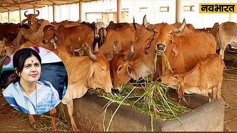 22 जुलाई को मनाया जाएगा गोवंश संरक्षण दिवस