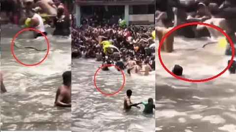 वाटरफॉल में नहा रहे लागों के बीच अचानक पहुंचा सांप, पर्यटकों में मचा हड़कंप, देखें रोंगटे खड़े करने वाला VIDEO