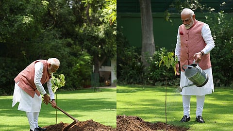 पीएम आवास पर नरेंद्र मोदी ने किया पौधारोपण, 'ऑपरेशन सिंदूर' के प्रतीक रूप में लगाया सिंदूर का पौधा