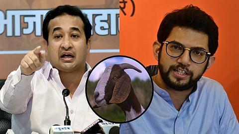 बकरीद पर बकरा काटने के मामले में नितेश राणे के एक बयान ने सियासी भूचाल ला दिया है। इतना ही नहीं बल्कि नितेश राणे ने आदित्य ठाकरे पर भी हमला बोला है। राणे ने आदित्य को उपनाम बदलने की सलाह दी।
