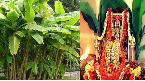 आज गुरुवार की पूजा में जरूर करें केले के पेड़ से जुड़े ये उपाय, हर समस्या को होगा समाधान चुटकियों में