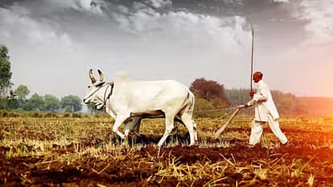 किसानों को कब तक पूरी करनी है बुवाई