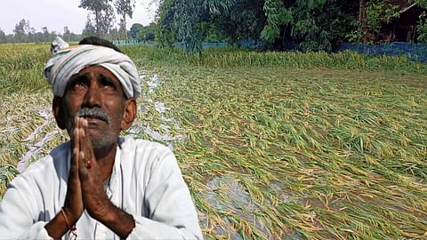 नासिक में मई महीने में हुई बारिश ने पिछले सभी रिकॉर्ड तोड़ दिए। मई की बारिश में किसानों का बहुत नुकसान हुआ है। नासिक में 12,156 हेक्टेयर में किसानों की फसलें बर्बाद हो गई है।
