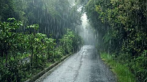 1 जुलाई से 4 दिनों तक 29 जिलों में बारिश