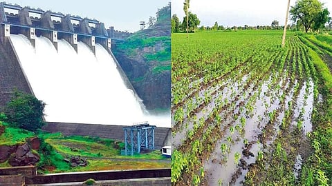 अत्याधिक बारिश से फसलों को भी नुकसान