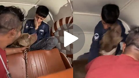 मुंबई में हैवानियत! सोहेल खान ने मासूम पर छोड़ा पिटबुल, देखें बर्बरता का Video