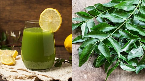 सुबह खाली पेट पिएं इस पत्ते का पानी मिलेंगे ये 5 जबरदस्त फायदे, जान लें