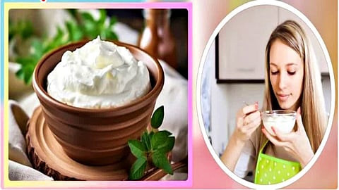 बारिश के मौसम में क्यों नहीं खाना चाहिए दही, जानिए इसके होने वाले नुकसान भी