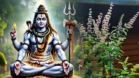 अगर सावन में घर की तुलसी पर आ जाए मंजरी, तो कर लीजिए ये उपाय दूर होंगी मुश्किलें