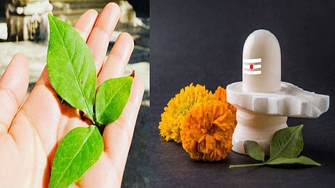 सावन में बेलपत्र के ये उपाय कर सकते हैं चमत्कार, सुख-समृद्धि के बनेंगे योग