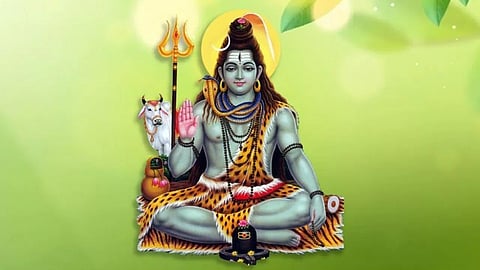 हरियाली अमावस्या के दिन इन चीजों के दान से पितृदोष से मिलेगी मुक्ति, ग्रहदोष भी कटेंगे